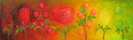 Distribute the Surplus Tomato Seedlings Image